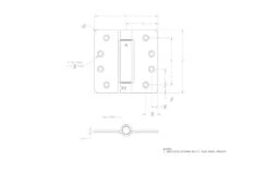 Acme Acorn Store 20 Acme Acorn Store -Acme Acorn Store cf0e6173 454e 4dcf 9ea4 3e9e50284a78